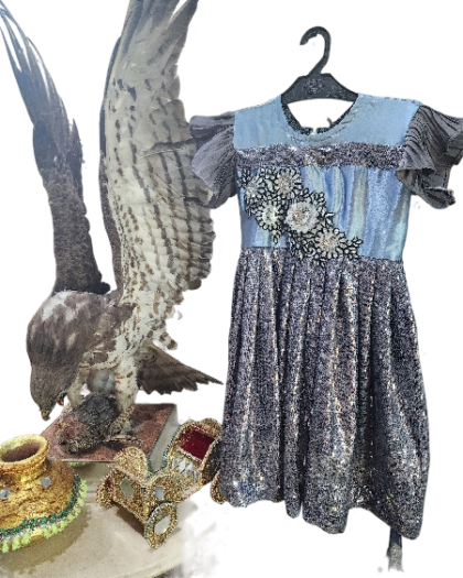 Frocks Blue and Grey