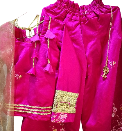Flapper Shirt Pink